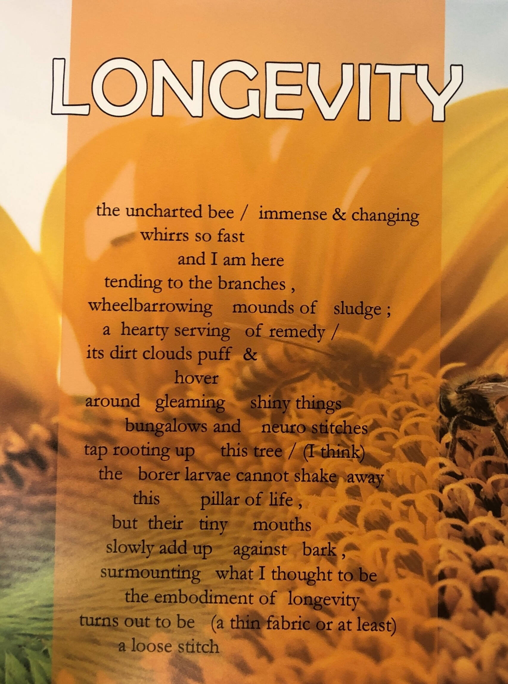 Poetry broadside print of a poem by Aleigha Kely titled "Longevity." Image in the background is of bees on a flower.